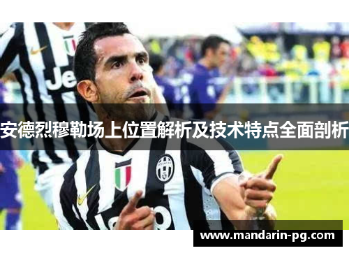 安德烈穆勒场上位置解析及技术特点全面剖析