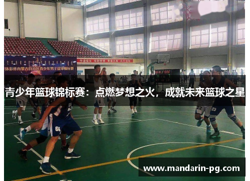 青少年篮球锦标赛：点燃梦想之火，成就未来篮球之星