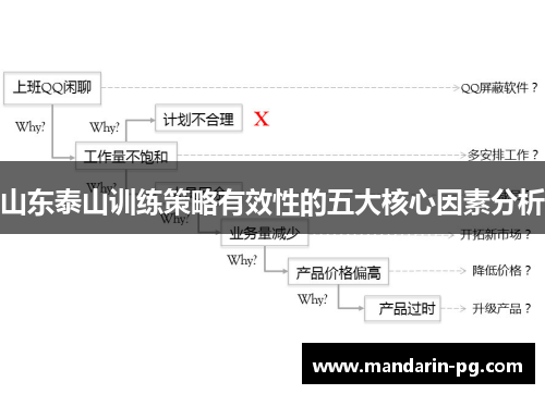 山东泰山训练策略有效性的五大核心因素分析 山东泰山训练策略有效性的五大核心因素分析